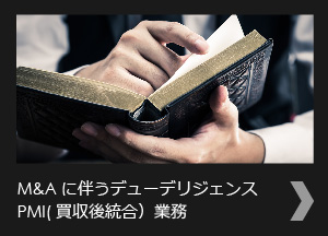 M&Aに伴う交渉サポート、デューデリジェンス、PMI(買収後統合)