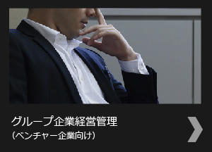 グループ経営、内部監査コンサルティング